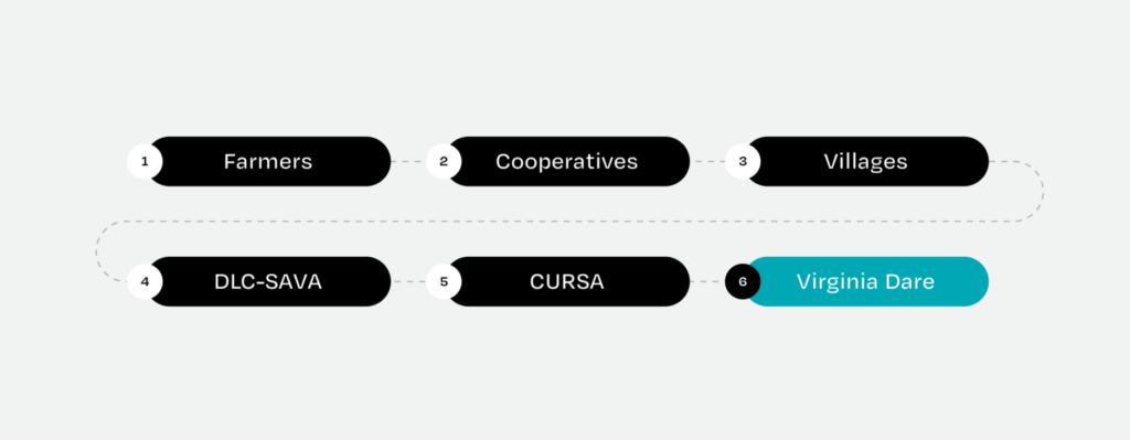 Flow Chart: 1) Farmers 2) Cooperatives 3) Villages 4) DLC-SAVA 5) CURSA 6) Virginia Dare