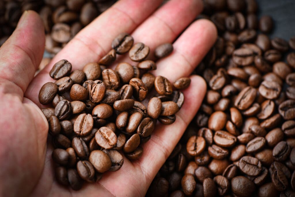 Coffee flavor concentrates extracted from coffee beans