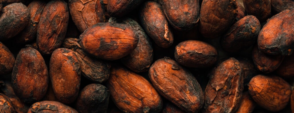 Cocoa beans that produce chocolate concentrate flavoring options