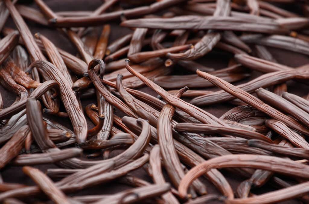 Vanilla made into flavor concentrates for beverages