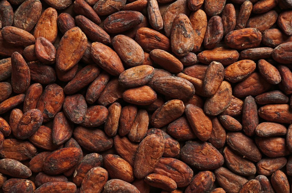 Cocoa beans provide flavoring for wellness